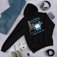 Load image into Gallery viewer, Delaware County Born and Raised Hoodie - The Pennsylvania T-Shirt Company